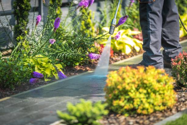 Best Winterizing Services  in Whitesboro, NY